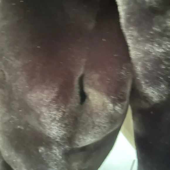 Na-kd - faux fur fluffy jacket - size 44 - Picture 4 of 10